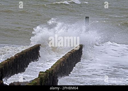 Onde che si schiantano in groyne di legno / frangiflutti per evitare l'erosione della spiaggia durante la tempesta invernale lungo la costa del Mare del Nord in Zeeland, Paesi Bassi Foto Stock