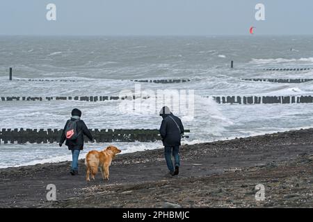 Coppia con cane che cammina lungo la costa del Mare del Nord in una giornata ventosa durante la tempesta invernale in Zeeland, Paesi Bassi Foto Stock