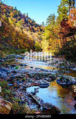 Vista panoramica del Big Laurel Creek nel North Carolina in autunno Foto Stock