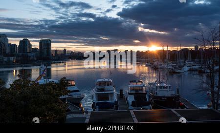 Alba sul False Creek, con barche ormeggiate in acque tranquille vicino a Granville Island, e lo skyline della città di Vancouver, British Columbia in lontananza. Foto Stock