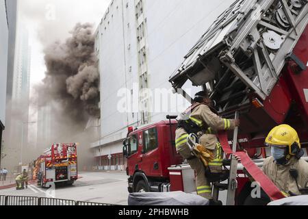 Vigili del fuoco sulla scena di un magazzino frigorifero a Cheung Sha WAN. Un allarme n.3 scoppiò all'edificio Yuen Fat Wharf & Godown su Fat Cheung Street nel pomeriggio e si notò un fumo denso che si illuminava dal secondo e dal terzo piano dell'edificio il 24 marzo 2023. 24MAR23 SCMP/Yik Yeung-man Foto Stock