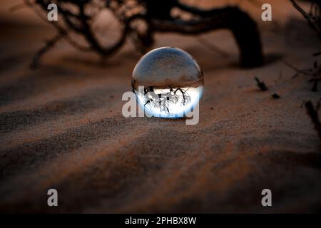 Una palla di vetro che riposa sulla sabbia in un ambiente naturale, con alberi sfocati sullo sfondo Foto Stock