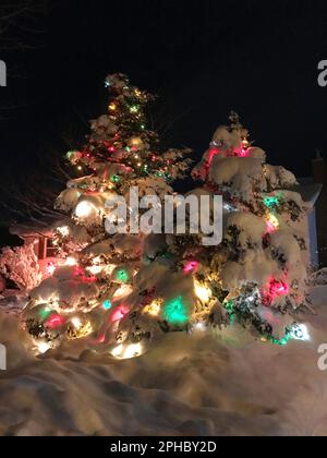 Due alberi sempreverdi all'aperto, decorati con luci natalizie e coperti da un pesante strato di neve nuova caduta. Foto Stock