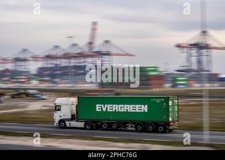 Camion container, che porta container al terminal container Euromax, il porto marittimo di Rotterdam, Paesi Bassi, porto di mare profondo Maasvlakte 2, su un MAN-ma Foto Stock