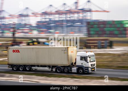 Container camion, che porta container da Euromax Container Terminal, il porto marittimo di Rotterdam, Paesi Bassi, porto di mare profondo Maasvlakte 2, su un uomo- Foto Stock