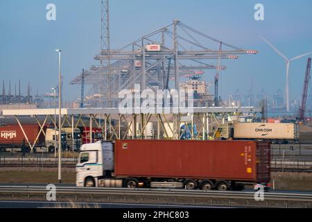 Porto del Maasvlakte2, controllo di entrata e uscita al terminal container RWG, carrelli porta container che prelevano e portano container da e verso il container t Foto Stock