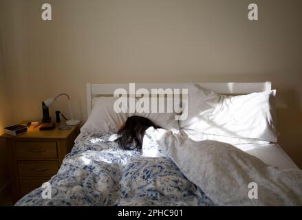 Brunette Donna (manichino) dorme in Letto illuminato dal sole del mattino Foto Stock