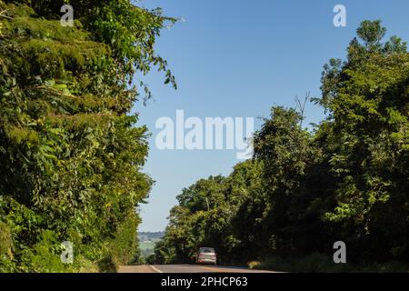 Anicuns, Goias, Brasile – 26 marzo 2023: Un bellissimo tratto alberato dell'autostrada GO-156 nello stato di Goiás. Brasile. Foto Stock