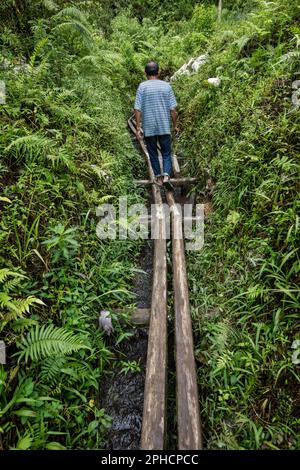 Estrazione illegale di oro a Giava, Indonesia, Asia Foto Stock