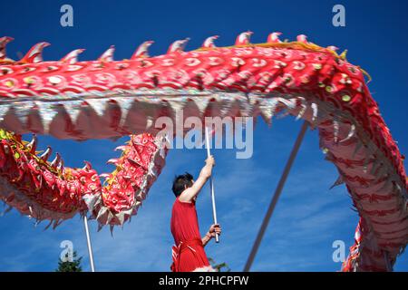 L'uomo ha suonato nella tradizionale danza del Drago Cinese alla parata del Canada Day Foto Stock