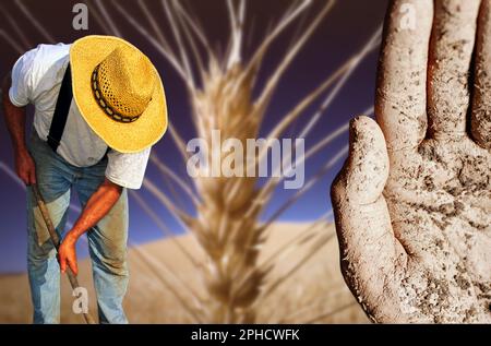 L'immagine concettuale che rappresenta l'agricoltura dove c'è una mano sporca della terra è un coltivatore che si avvolge sullo sfondo di un orecchio di grano Foto Stock