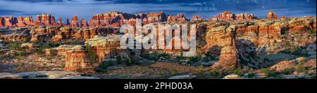 The Needles, monumento nazionale delle Canyonlands (zona meridionale), Utah Foto Stock