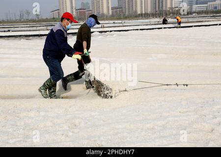 LIANYUNGANG, CINA - 28 MARZO 2023 - i lavoratori lavorano nel campo del sale di Dapu nella città di Lianyungang, provincia di Jiangsu della Cina orientale, 28 marzo 2023. Foto Stock