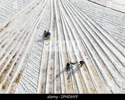 LIANYUNGANG, CINA - 28 MARZO 2023 - i lavoratori lavorano nel campo del sale di Dapu nella città di Lianyungang, provincia di Jiangsu della Cina orientale, 28 marzo 2023. Foto Stock