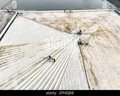 LIANYUNGANG, CINA - 28 MARZO 2023 - i lavoratori lavorano nel campo del sale di Dapu nella città di Lianyungang, provincia di Jiangsu della Cina orientale, 28 marzo 2023. Foto Stock