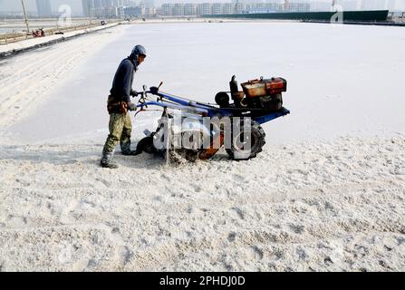 LIANYUNGANG, CINA - 28 MARZO 2023 - i lavoratori lavorano nel campo del sale di Dapu nella città di Lianyungang, provincia di Jiangsu della Cina orientale, 28 marzo 2023. Foto Stock