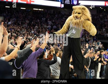 Sacramento, California, Stati Uniti. 27th Mar, 2023. Sacramento Kings mascotte Slamson tifosi di hi-five nel quarto trimestre durante una partita al Golden 1 Center di Sacramento, lunedì 27 marzo 2023. (Credit Image: © Paul Kitagaki Jr./ZUMA Press Wire) SOLO PER USO EDITORIALE! Non per USO commerciale! Credit: ZUMA Press, Inc./Alamy Live News Foto Stock