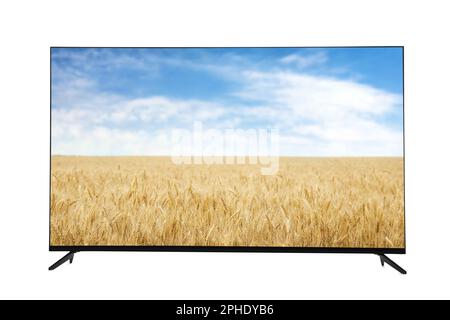 Moderno monitor TV widescreen che mostra la vista pittoresca del campo di grano e cielo blu isolato su bianco Foto Stock