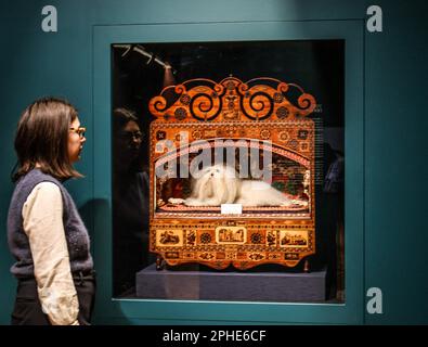 Londra, Regno Unito. 28th Mar, 2023. Minnie The Lulu Terrier, 1883, Amelia, Tunbridge Wells Museum, Faithless and Fearless 29-Marzo to 15 Ottobre 2023 Credit: Paul Quezada-Neiman/Alamy Live News Foto Stock