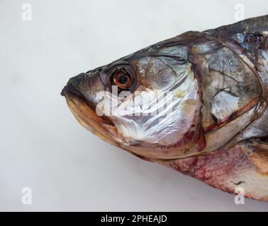 Il pesce secco su sfondo grigio. Foto Stock