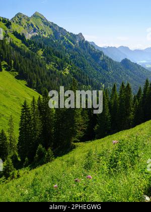 Vista verso il monte Grosse Klammspitz e la valle del fiume Ammer. Natur Park Alpi Ammergau (Ammergauer Alpen) nelle Alpi calcaree settentrionali dell'alta Foto Stock