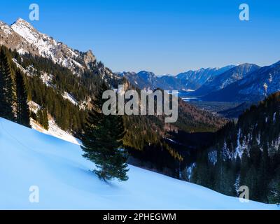 Vista verso il monte Grosse Klammspitz e la valle del fiume Ammer. Natur Park Alpi Ammergau (Ammergauer Alpen) nelle Alpi calcaree settentrionali dell'alta Foto Stock