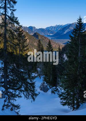 Vista verso Oberammergau e la valle del fiume Ammer. Natur Park Alpi Ammergau (Ammergauer Alpen) nelle Alpi calcaree settentrionali dell'alta Baviera. Foto Stock