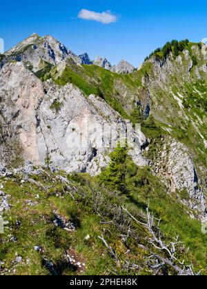 Vista verso il monte Hochplatte , Monte Vorderscheinberg e una dolina chiamata Kessel. Natur Park Alpi Ammergau (Ammergauer Alpen) nel calcare settentrionale A. Foto Stock