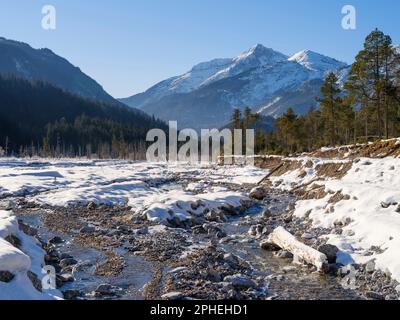 Vista verso il monte Daniele. La pianura ghiaiosa alluvionale protetta Friedergries nelle Alpi Ammergau (Ammergauer Alpen) nelle Alpi calcaree settentrionali di u Foto Stock