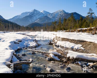 Vista verso il monte Daniele. La pianura ghiaiosa alluvionale protetta Friedergries nelle Alpi Ammergau (Ammergauer Alpen) nelle Alpi calcaree settentrionali di u Foto Stock