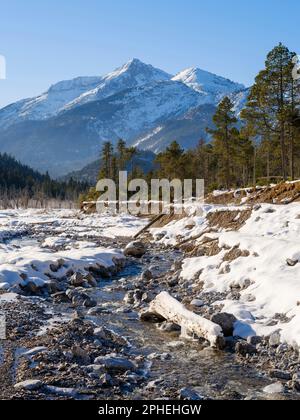 Vista verso il monte Daniele. La pianura ghiaiosa alluvionale protetta Friedergries nelle Alpi Ammergau (Ammergauer Alpen) nelle Alpi calcaree settentrionali di u Foto Stock