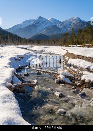 Vista verso il monte Daniele. La pianura ghiaiosa alluvionale protetta Friedergries nelle Alpi Ammergau (Ammergauer Alpen) nelle Alpi calcaree settentrionali di u Foto Stock