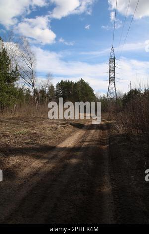 foto di diverse linee elettriche collegate tra loro nella foresta Foto Stock