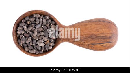 Semi di borragine in cucchiaio di legno, isolati su fondo bianco. Borago officinalis semi. Vista dall'alto. Foto Stock