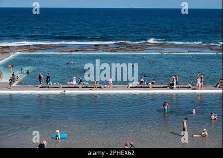Merewether Ocean Baths, Newcastle, New South Wales, NSW, Australia. Foto Stock