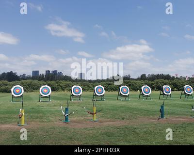 Un campo all'aperto con una fila di pali di tiro con l'arco fiancheggiati da frecce Foto Stock