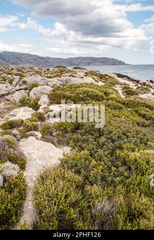 La terraferma di Creta, di fronte all'isola di Elafonissi, ha le sue eccellenti spiagge con interessanti sentieri e cespugli nelle vicinanze. Foto Stock