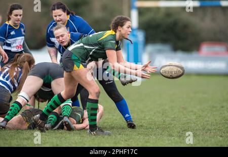 Donne inglesi giocatori amatoriali di Rugby Union che giocano in una partita di campionato. Foto Stock