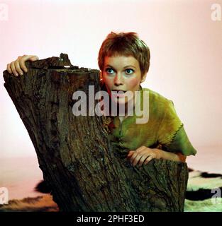 MIA FARROW in PETER PAN (1976), regia di DWIGHT HEMION. Credit: SOCIETÀ NAZIONALE DI RADIODIFFUSIONE (NBC) / Album Foto Stock