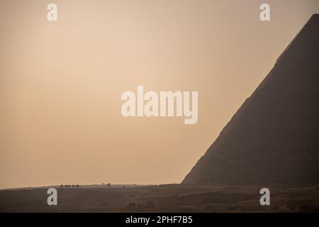 Cammelli che cavalcano nell'orizzonte lontano dalla piramide di Khafre al tramonto a Giza, Egitto Foto Stock