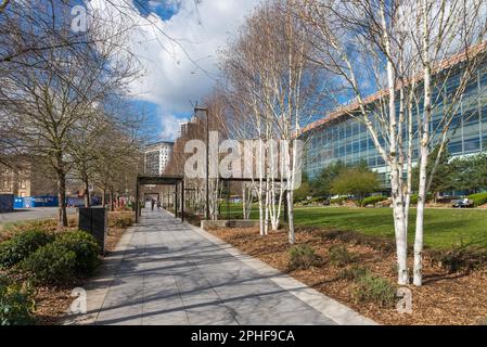 Millennium Point e ThinkTank Science Museum nell'area Eastside di Birmingham vicino a Digbeth Foto Stock