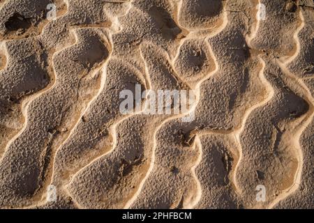 Modelli, increspature fatte da acqua nella sabbia, terra. primo piano della texture. Modelli di terra dall'alto. Damaraland, Namibia, Africa Foto Stock