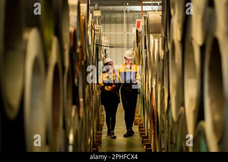 Una nuova generazione di ingegneri in una fabbrica di lamiere. Studiare metodi di lavoro da supervisori o colleghi e studiare da soli essere insegnato prof Foto Stock