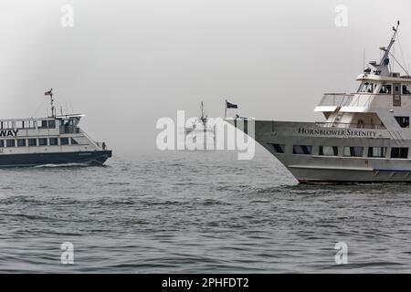 Crocevia acquea: New York Waterway traghetto in direzione nord-ovest, Hornblower escursione barca in direzione sud-est, giro turistico barca in direzione nord-est. Foto Stock