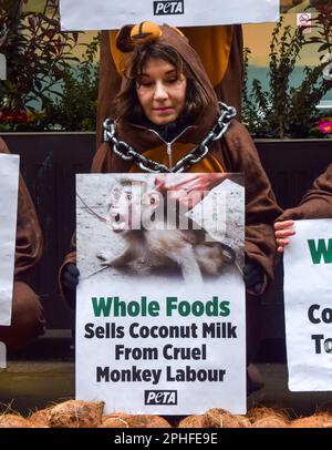 Londra, Regno Unito. 28th marzo 2023. Gli attivisti DI PETA si vestirono come scimmie incatenate che gettavano le noci di cocco al di fuori del mercato Whole Foods, vicino a Piccadilly Circus, per protestare contro la catena di supermercati che vendeva latte di cocco dalla Thailandia. Secondo PETA, le loro indagini hanno rivelato l'uso sistemico di scimmie rapite dalla natura selvaggia e costrette a raccogliere noci di cocco per uso commerciale. Credit: Vuk Valcic/Alamy Live News Foto Stock