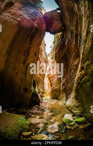 Gola di Avakas vicino a Peya, Cipro. Foto Stock