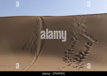 Le cose grandi non vengono mai dalle zone di comodità. Foto Stock