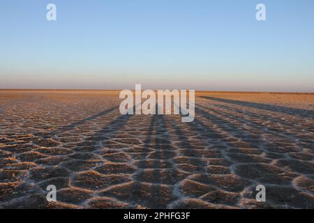 Le cose grandi non vengono mai dalle zone di comodità. Foto Stock