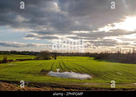 Terreno agricolo allagato con cielo coperto vicino a Sandbach Cheshire UK Foto Stock