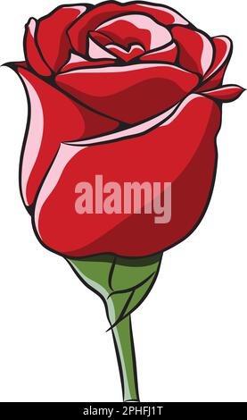 Fiore chiuso dell'illustrazione del vettore della Rosa Imperiale. Elegante rosa rossa con contorno nero. Illustrazione Vettoriale